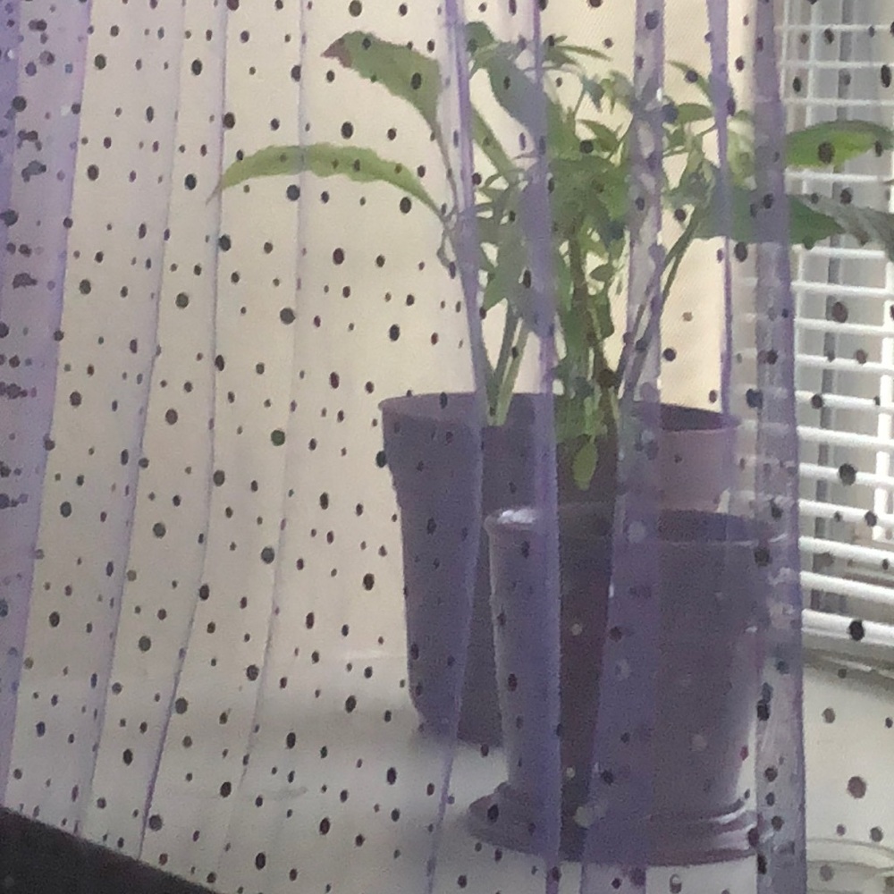 Meet your Posher, Delissa